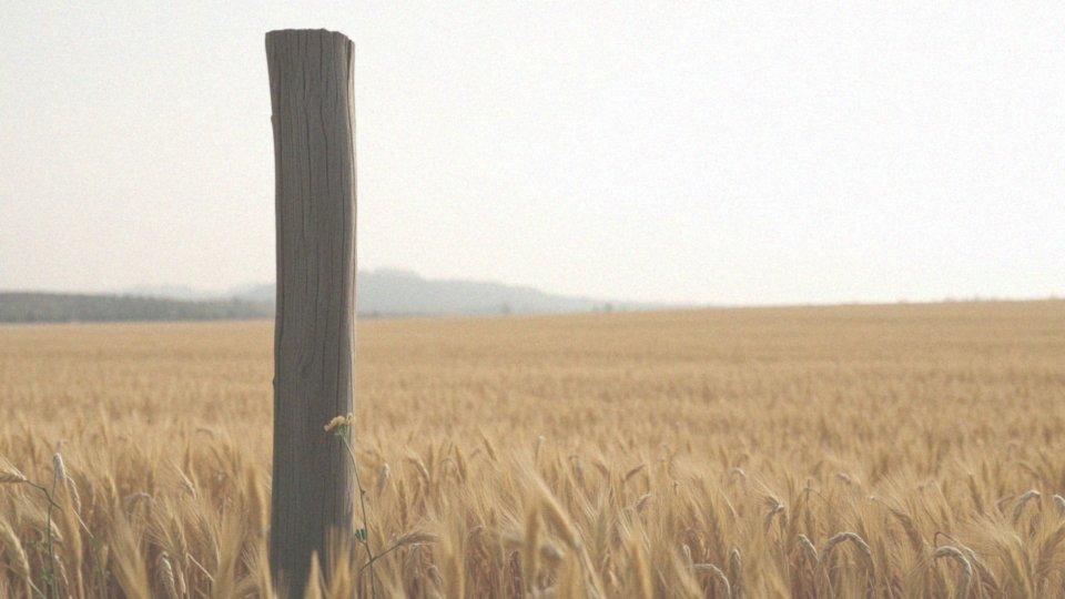Co to znaczy, że Węgry są nizinnym państwem w Europie Środkowej?