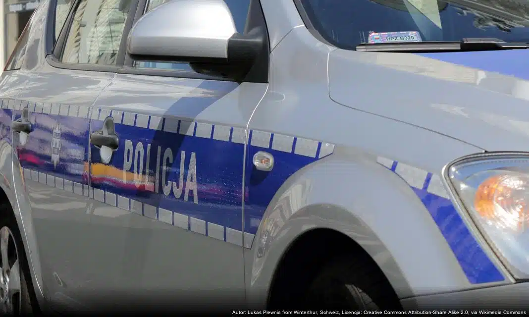 Podsumowanie działań grupy SPEED w Płocku: kontrola bezpieczeństwa na drogach