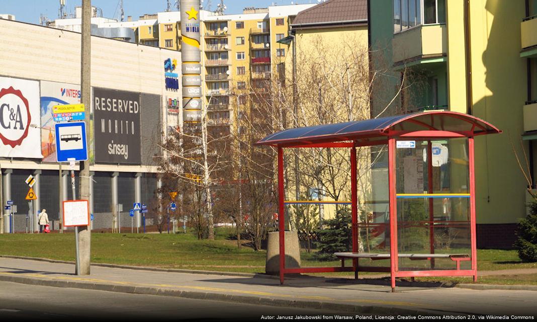 Jak mieszkańcy Płocka radzą sobie z problemem hałasu w mieście?