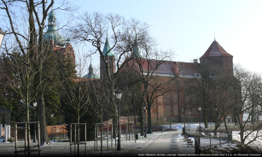 Nowa aleja platanów w Płocku – ekologiczny projekt w alei Piłsudskiego