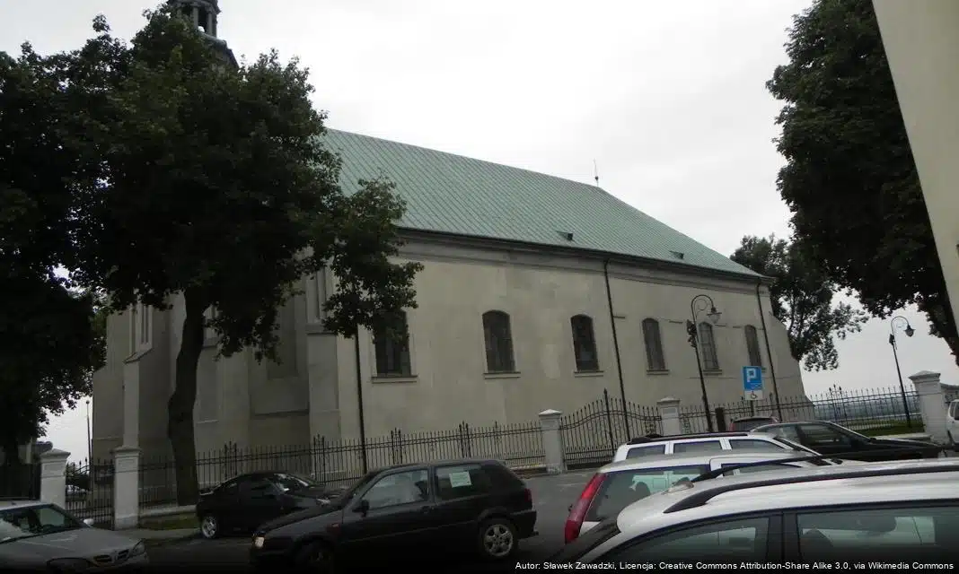 Ostrzeżenie meteorologiczne dla Płocka: gołoledź i marznące opady